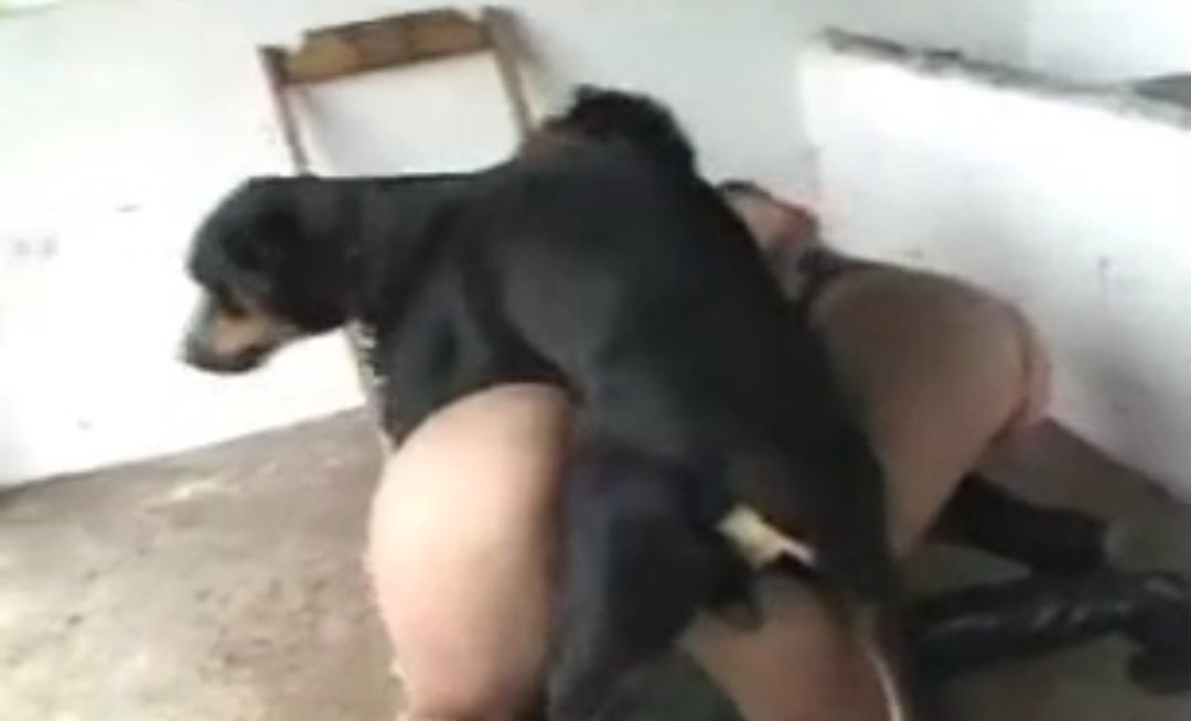 Two British girls got fucked by A Crazy Home Dog