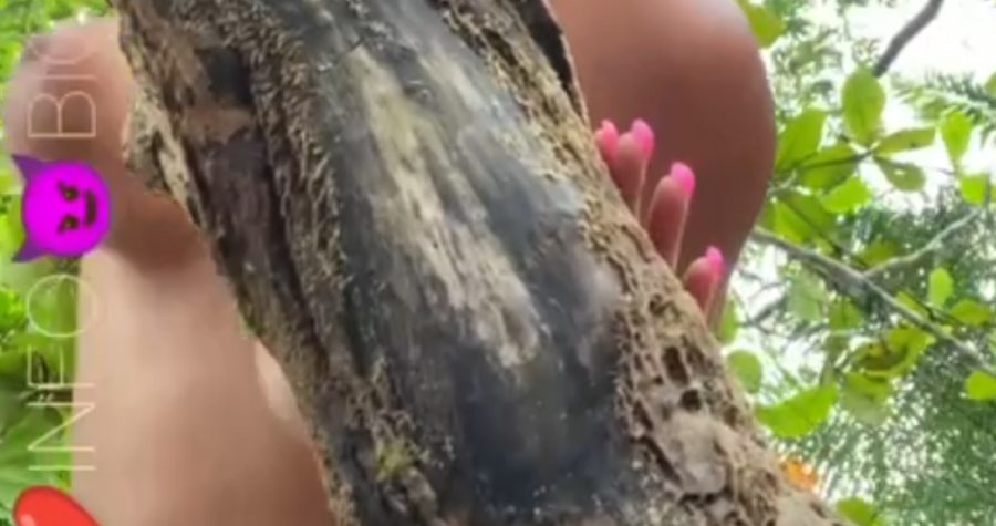 Screenshot 2025 10 19 20 29 10 76 e5d3893ac03954c6bb675ef2555b879b